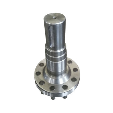 Output Shaft of Cycloidal Pinwheel Transmission Gear Motor