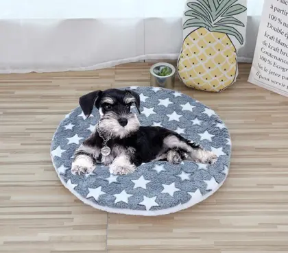 Sofabed pillowtop mattress for dogs and cats