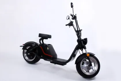 EEC/COC Electric Citycoco Motorcycle
