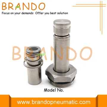 K0950 Stainless Steel Solenoid Plunger Armature Assembly Kit