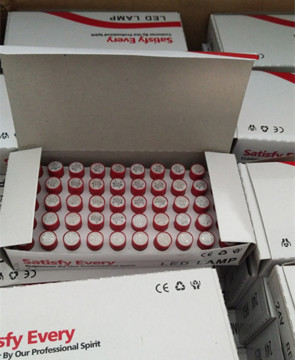 High Brightness LED Bulbs 10mm E10 220VAC 230V 110V 120V DC 24V 12V