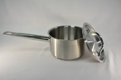 Single-Handle Sauce Pot with Lid