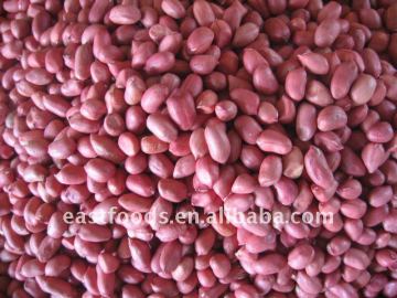 Four kernels red skin peanuts 2013