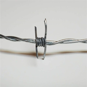 Double strands 4 points galvanized barbed wire