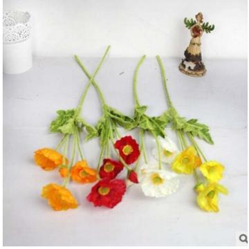 Flower seeds sale online