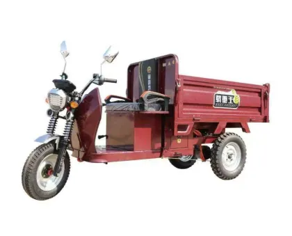Electric Tricycle Agricultural Tricycle Turkey Bike Cargo Scooter 3 Wheel