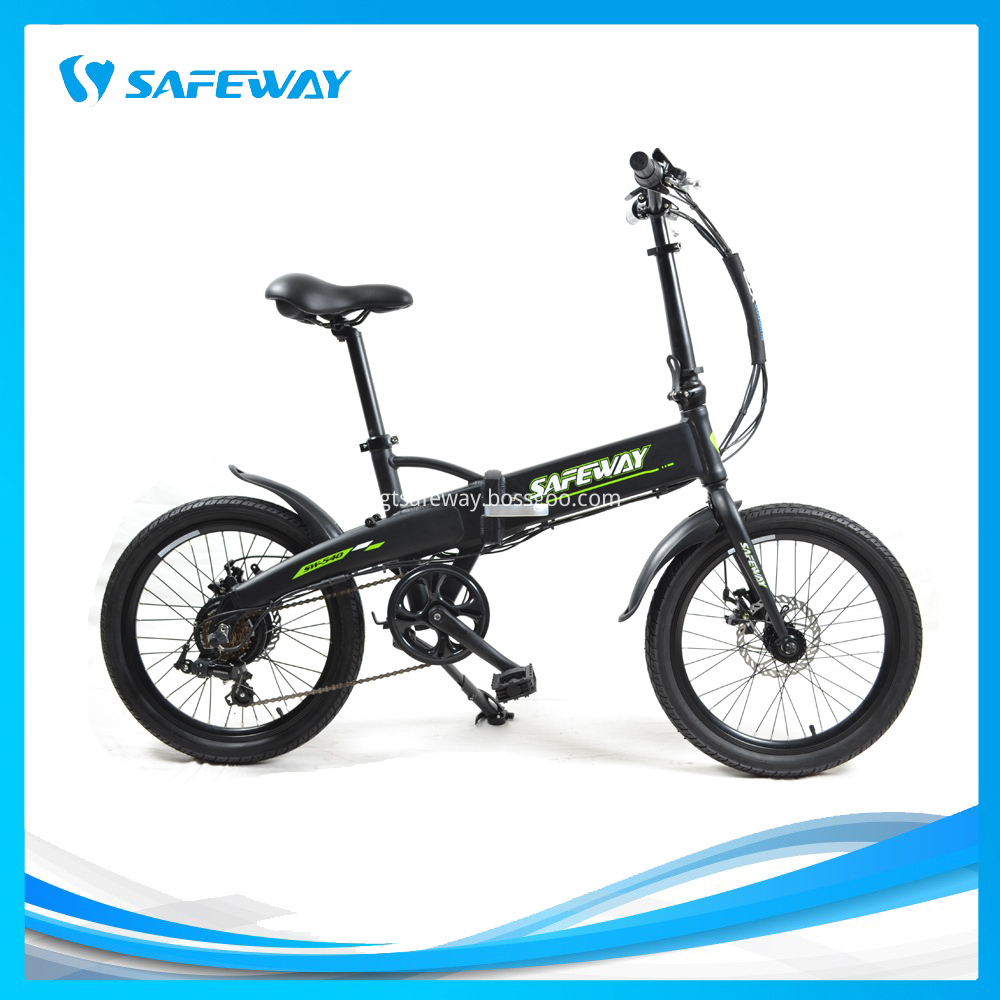 Wide girder folding electric bike