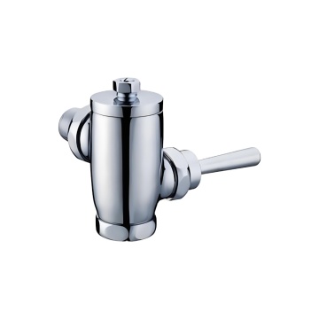 High-Quality Wall-Mounted Brass Time-Delay Valve - Water Saving Flushing Valve