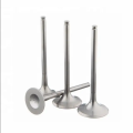 OEM Precision Matching Intake Valves