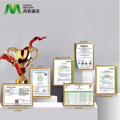 Natural Boletus Edulis Extract Powder