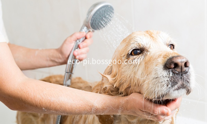 best-dog-shampoo