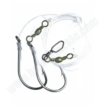 Fishing Rigs: Line and Hooks Setup