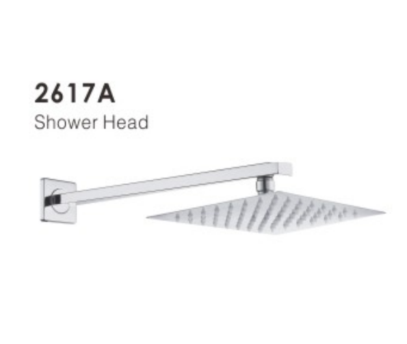 Bathroom Shower Head 2617A