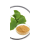 Ginkgo Biloba L inkgo biloba leaf extract powder