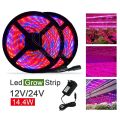 Bán nóng SMD2835 15w Full Spectrum LED Grow Strip