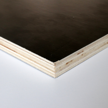 Film Laminated Shuttering Plywood