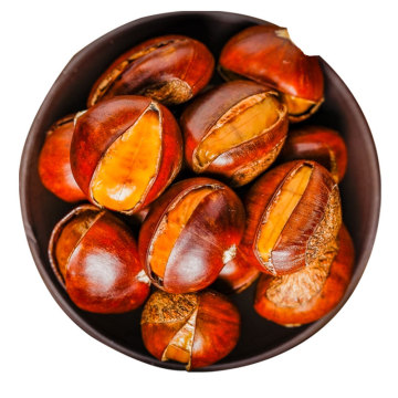 New 100% natural Chinese chestnut natural nut