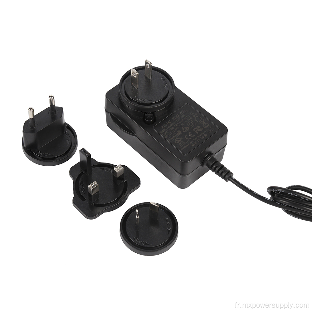 Adaptateur de puissance interchangeable 12V5A avec CB UL PSE