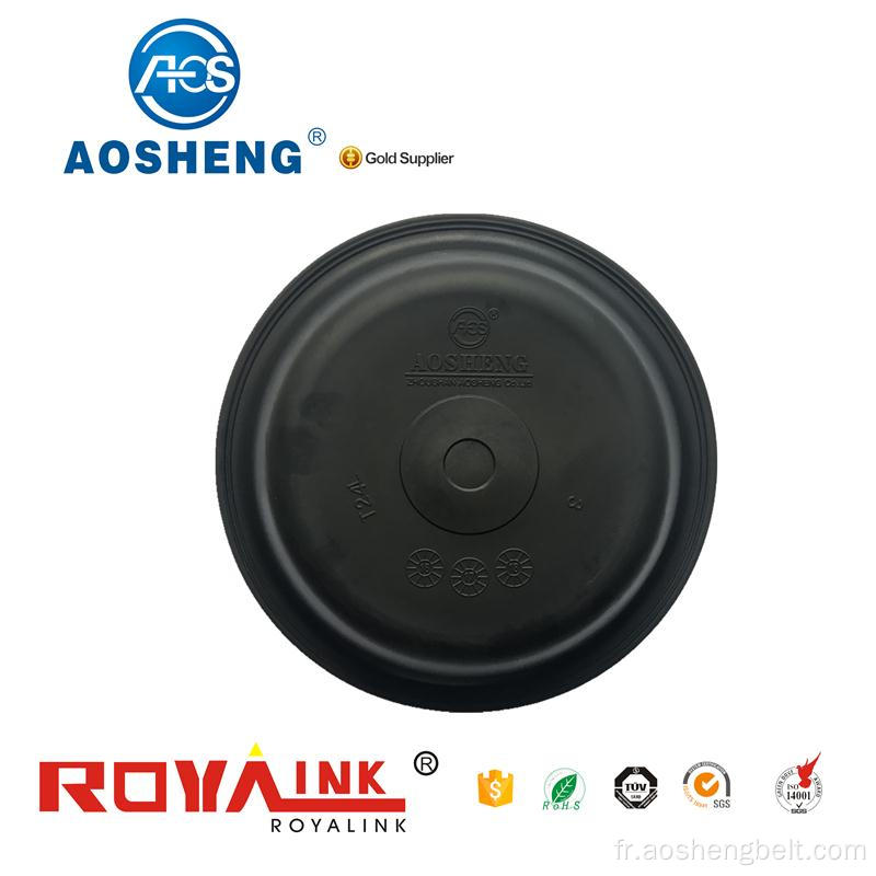 Diaphragme Aosheng T30L pour camion Renault