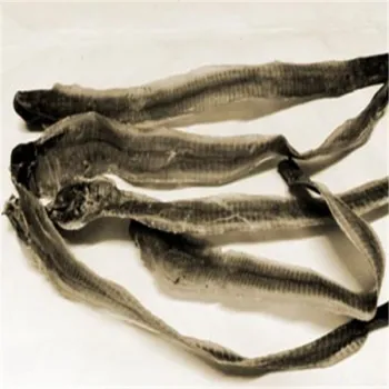 Natural Earthworm Geosaurus rainworm  Pheretima dried body