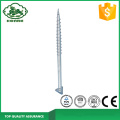 High Technology Best Price Ground Screw