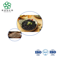 Premium 10:1 Black Bean Extract Powder for Bulk Protein & Antioxidant Formulations
