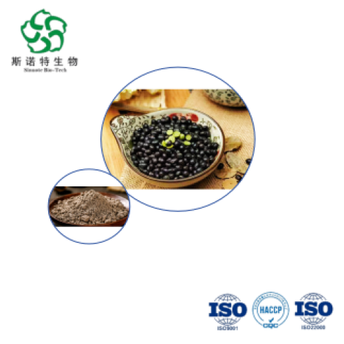 Premium 10:1 Black Bean Extract Powder for Bulk Protein & Antioxidant Formulations