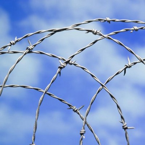 Hot Dipped Galvanized Barbed Wire Hot-Dipped Galvanized Barbed Wire for Fence Manufactory