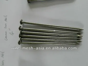 wire weld wooden pallet coil nail(manufacturer)