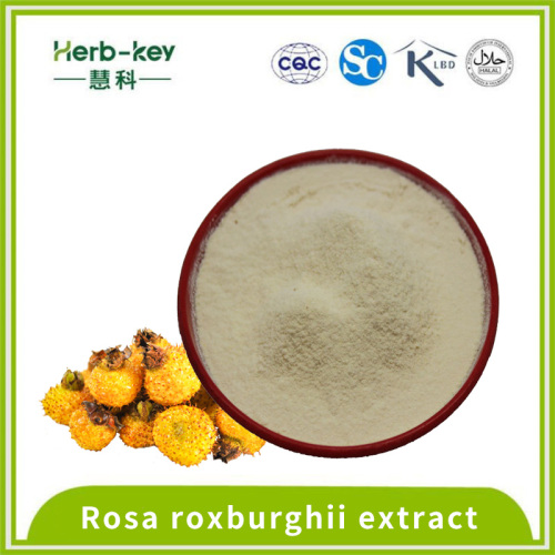 Bebida sólida con vitamina C Roseberry Powder