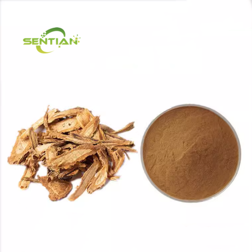 Chinese Angelica Root Extract Powder