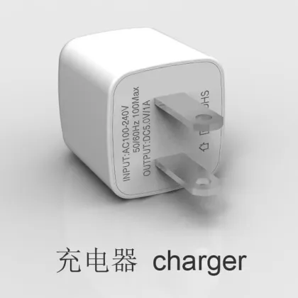 Apple battery charger
