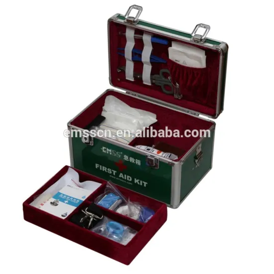 Mini case first aid kit including disposable CPR Mask