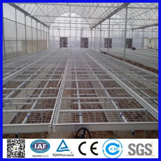 reinforcing galvanized welded seedbed wire mesh,greenhouse seedbed for best-selling