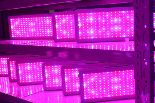 High Power 2000W LED Grow lights for Sale