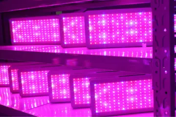 600W LED Grow Light for Indoor Plant Growing