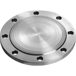 SS316 Stainless Blind Flange