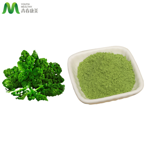 Best Dried Dehydrated Kale Powder