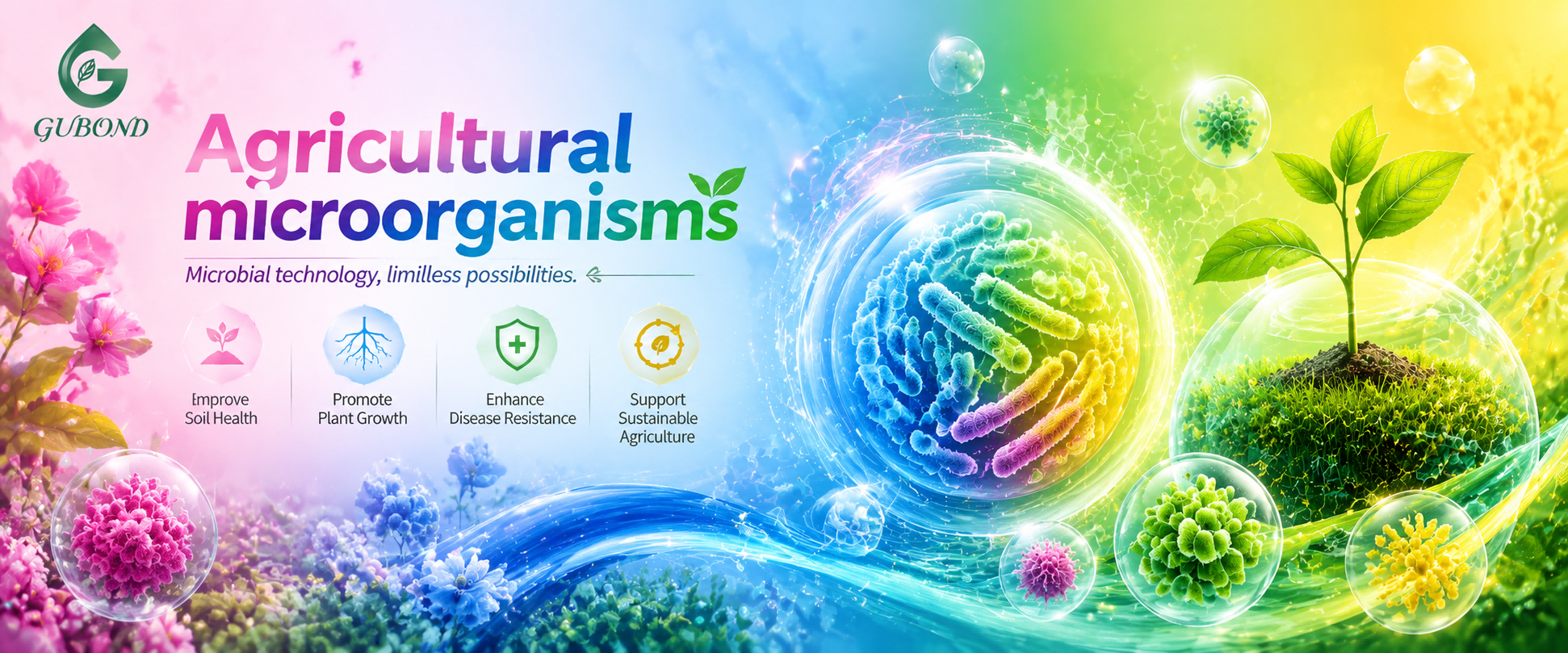 Agricultural microorganisms