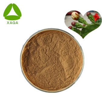 Nopal Cactus Hoodia Flower Extract Powder 10:1 Organic