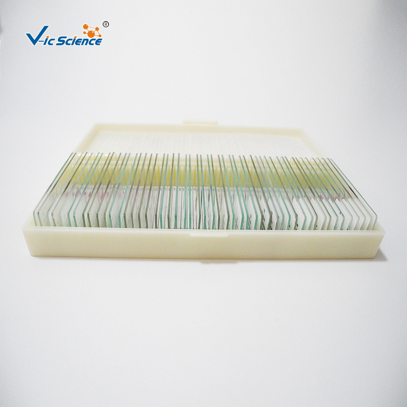 Microscope Slides