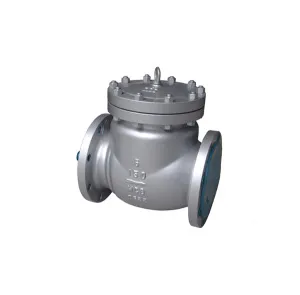 API Swing Type Check Valve