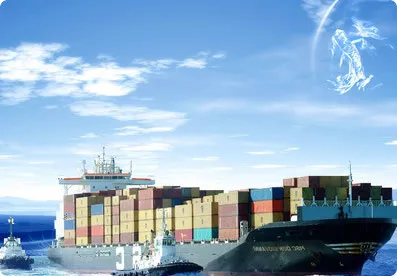 Sea Freight Door to Door From China to USA (Sea Freight)