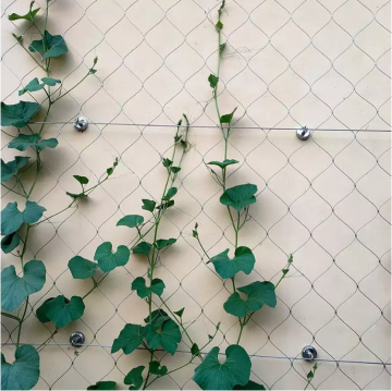Custom Garden Mesh Netting - Plastic Product for Outdoor Gardening