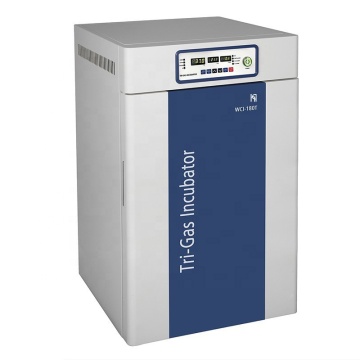 ศูนย์บ่มเพาะ CO2 ความจุขนาดใหญ่ WCI-180T: ความร้อนอุณหภูมิคงที่ TRI-GAS