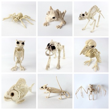 Skelet Halloween Animal Bone