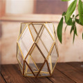 Recipientes de vaso de flores de musgo suculento Vaso de vidro transparente Mesa de terrário decorativo geométrico