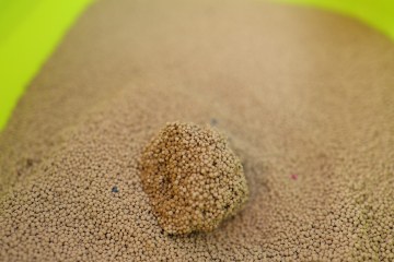 Deodorization Colored Ball Activated Charcoal Cat Litter