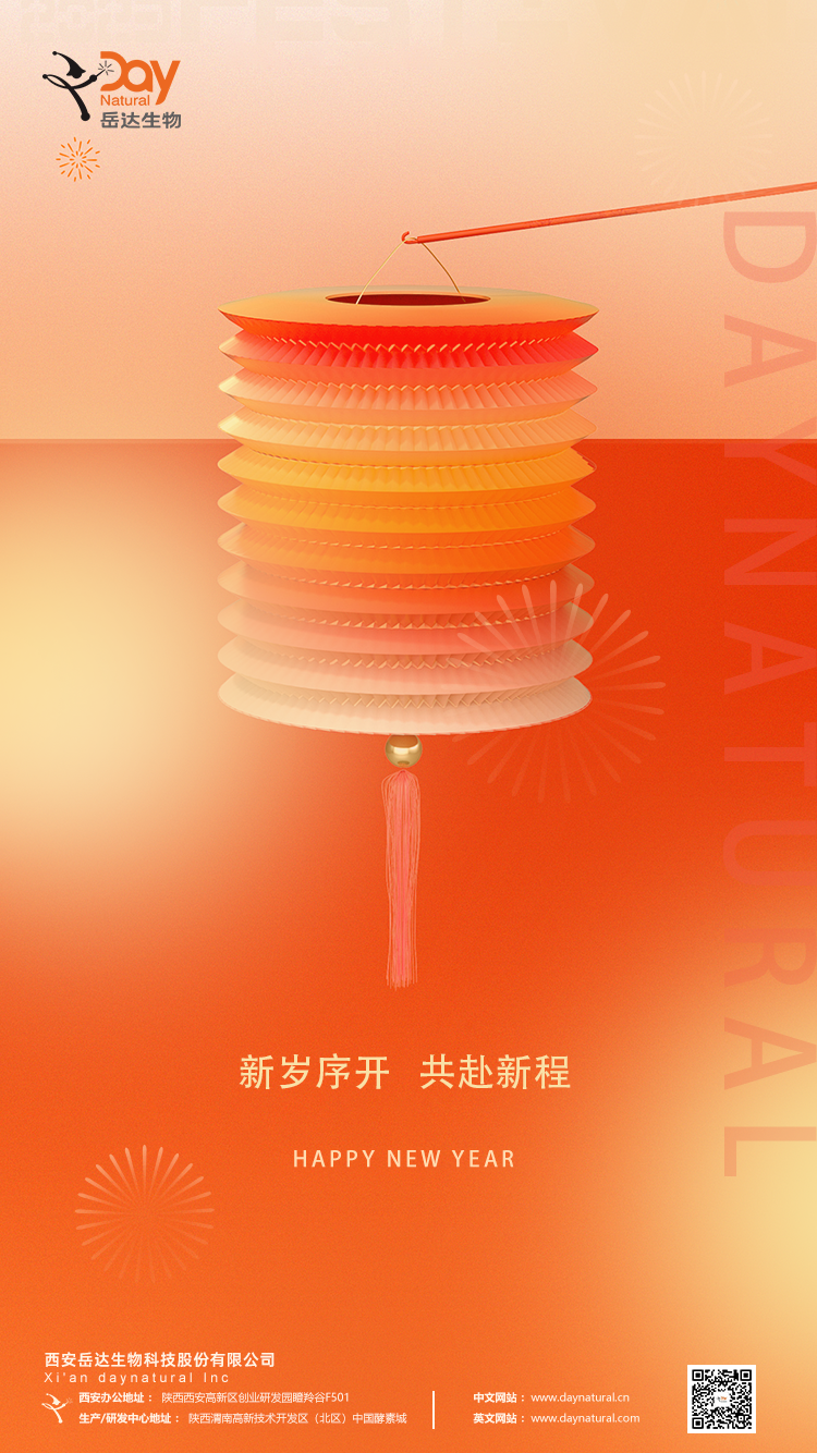 Happy New Year!
