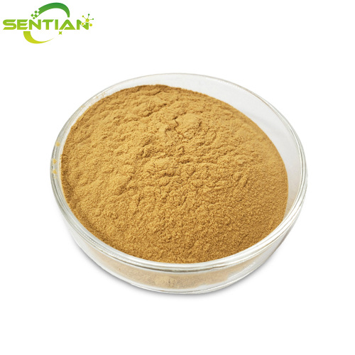Premium Honeysuckle Extract
